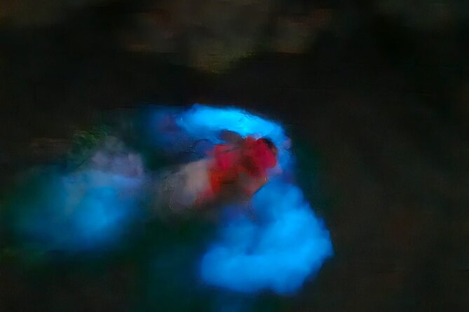 The ULTIMATE Bioluminescence night time adventure with Brandon - Who will enjoy this Tobago night adventure?