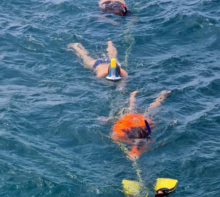 Tobago: Buccoo Reef and Nylon Pool Boat Tour with Transfer - Why Buccoo Reef makes a good first sea trip