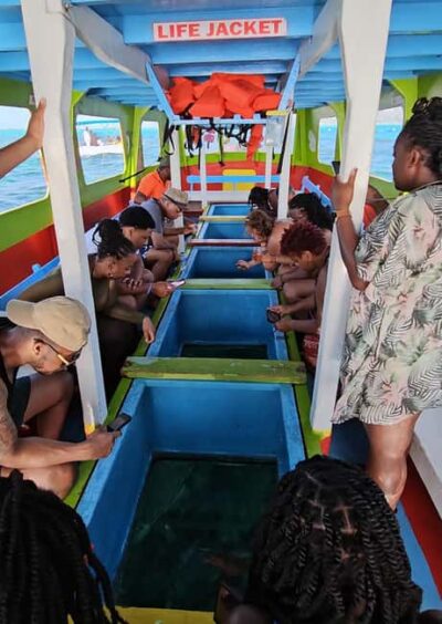 Buccoo Reef and Nylon Pool Boat Tour with Transfer