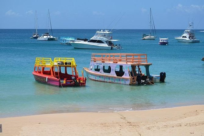 Tobago Buccoo Reef Glass Bottom Boat Cruise and Island Sightseeing Tour - Plymouth brings a strange story and old ruins