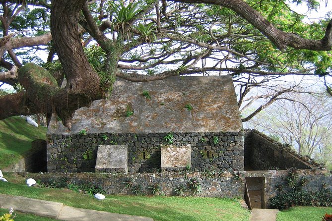 Tobago Buccoo Reef Glass Bottom Boat Cruise and Island Sightseeing Tour - Buccoo Reef from a covered glass bottom boat
