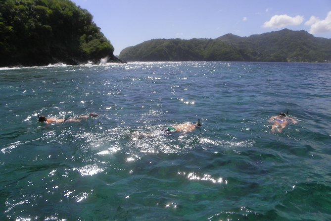 Tobago Buccoo Reef Glass Bottom Boat Cruise and Island Sightseeing Tour - Edith can make the difference