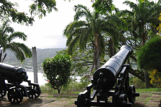 Tobago Buccoo Reef Glass Bottom Boat Cruise and Island Sightseeing Tour - Weather, timing, and the practical weak points