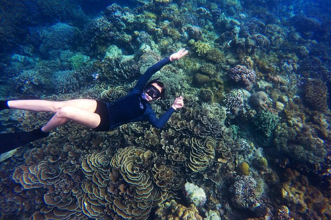 Tobago Buccoo Reef Glass Bottom Boat Tour - Nylon Pool: Tobago’s Easiest Water Stop