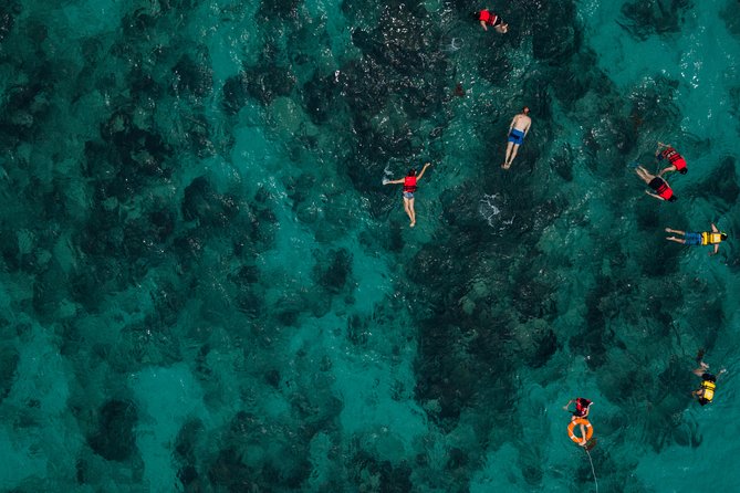 Tobago Buccoo Reef Glass Bottom Boat Tour - Who Should Book This Tobago Boat Tour?