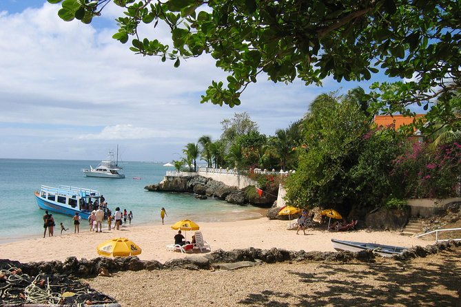 Tobago Buccoo Reef Glass Bottom Boat Tour - The Covered Glass-Bottom Boat Ride
