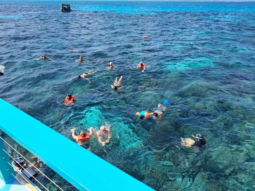 Tobago: Buccoo Reef Marine Park Glass Bottom Boat Tour - Setting out from Buccoo Pier at 11 a.m.