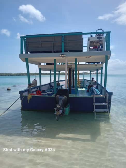 Tobago: Buccoo Reef Marine Park Glass Bottom Boat Tour - Buccoo Reef from above and below
