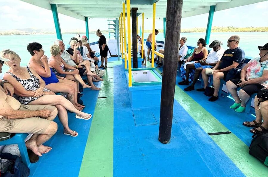 Tobago: Buccoo Reef Marine Park Glass Bottom Boat Tour - Who will enjoy this boat trip most