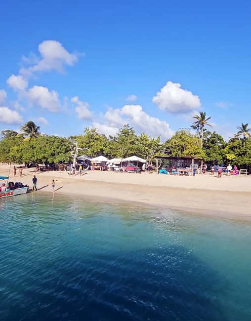 Tobago: Coral Reef Boat Tour with BBQ and Transfer - What the $100 price really covers