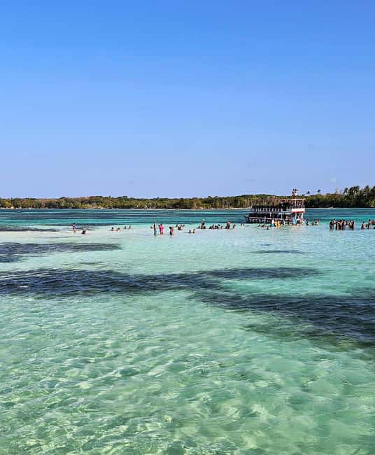 Tobago: Coral Reef Boat Tour with BBQ and Transfer - Who will enjoy this Tobago boat trip most