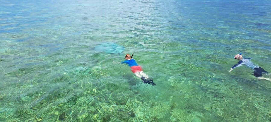 Tobago: Coral Reef Boat Tour with BBQ and Transfer - Coral Gardens: the main reason to bring a mask