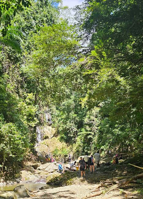 Tobago: Half Day Atlantic Coast Tour with Transfer - Why This Half-Day Tour Works for Tobago