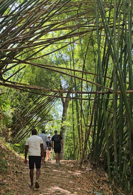 Tobago: Half Day Atlantic Coast Tour with Transfer - Fort Granby: A Short Stop on the Atlantic Side
