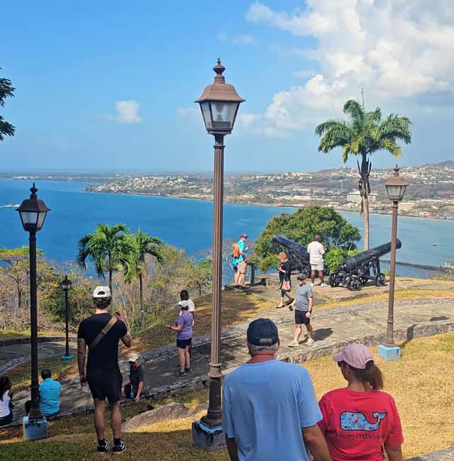 Tobago: Half Day Atlantic Coast Tour with Transfer - Argyle Waterfall: The Tour’s Main Payoff