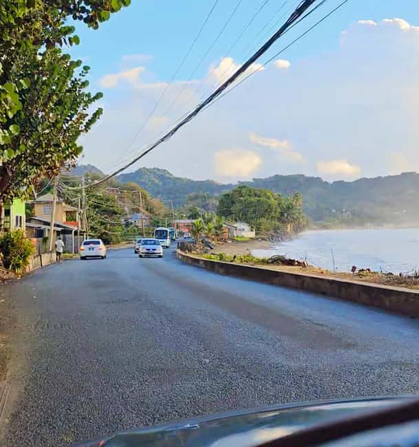 Tobago: Half Day Atlantic Coast Tour with Transfer - Who Will Enjoy This Tour Most?
