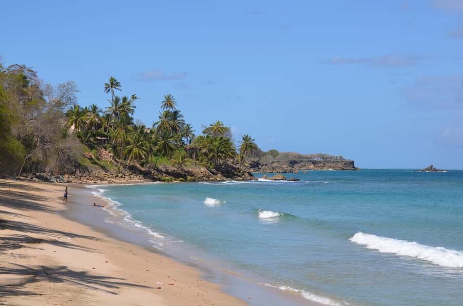 Tobago: Half-Day Highlights Tour - Key points to know before booking