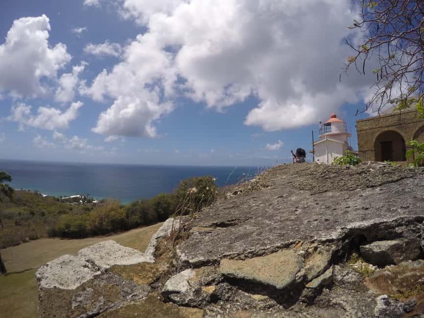 Tobago: Half-Day Highlights Tour - The cross-island drive shows Tobago beyond the main roads