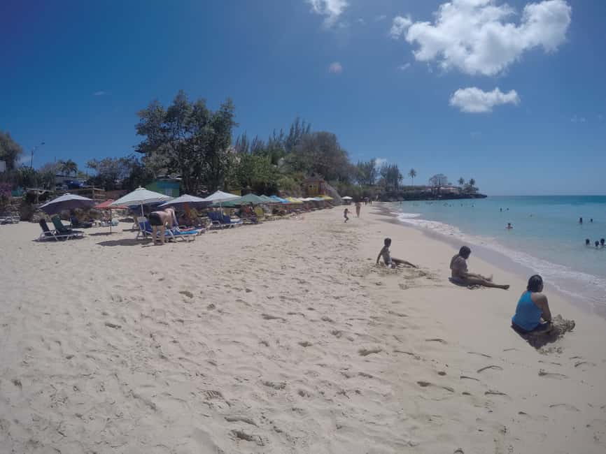 Tobago: Half-Day Highlights Tour - How the $80 price measures up