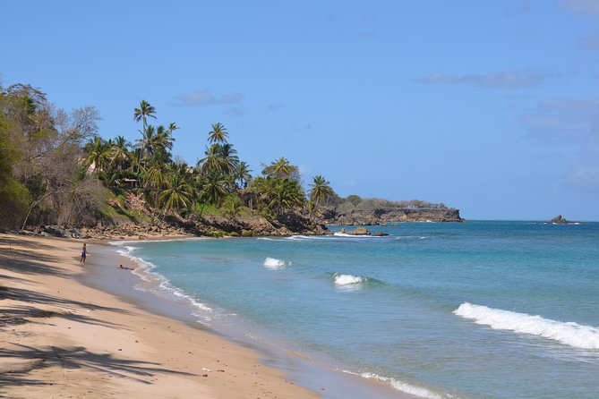 Tobago Island Tour - Tobago in one day: key points