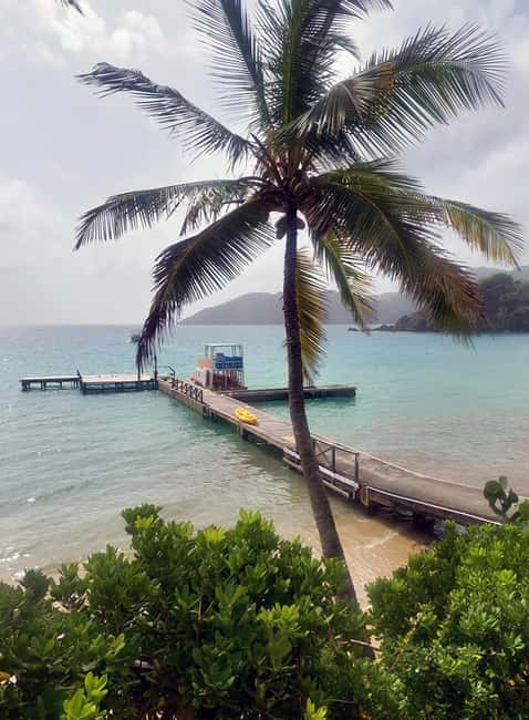 Tobago: Little Tobago Bird Sanctuary Visit and Boat Tour - The ride to Speyside sets the tone