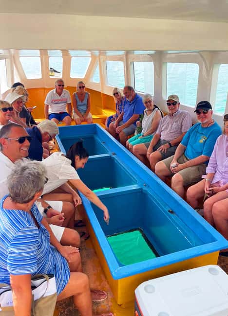 Tobago: Little Tobago Bird Sanctuary Visit and Boat Tour - Little Tobago rewards the climb