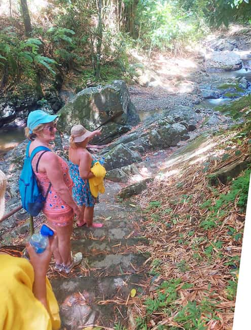 Tobago: Little Tobago Bird Sanctuary Visit and Boat Tour - Jemma’s Tree House makes lunch part of the trip