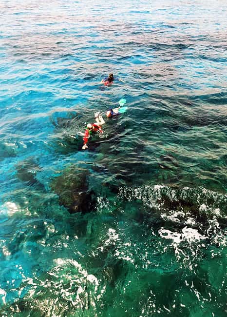 Tobago: Little Tobago Bird Sanctuary Visit and Boat Tour - What to pack and how to prepare