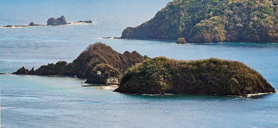 Tobago: Little Tobago Bird Sanctuary Visit and Boat Tour - The glass-bottom boat reveals Goat Island’s reef