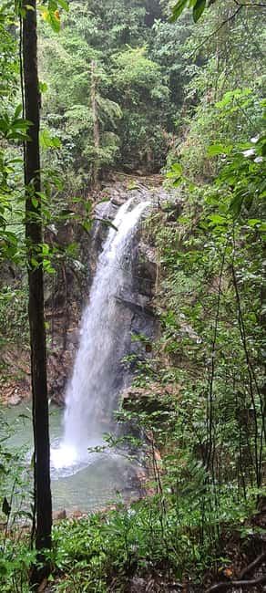 Trinidad: Avocat Waterfall and Maracas Bay Beach Tour - A Note On The Guide Service