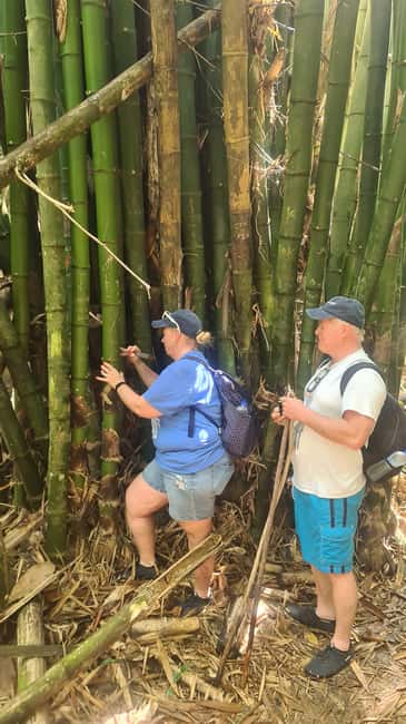 Trinidad: Avocat Waterfall and Maracas Bay Beach Tour - What The $115 Price Really Covers