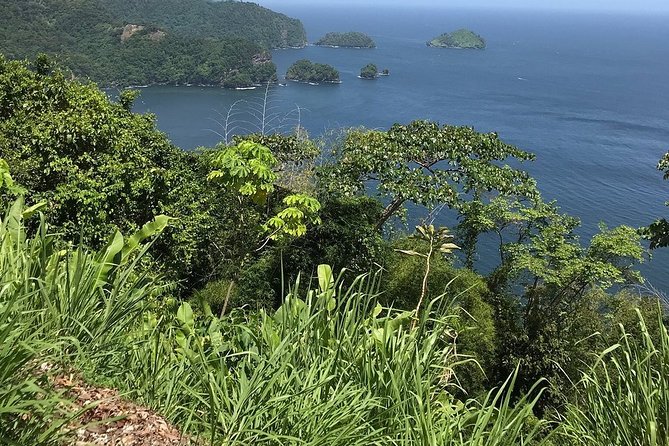 Trinidad Highlights and Scenic Drive Tour - The Magnificent Seven and Queen’s Park Savannah
