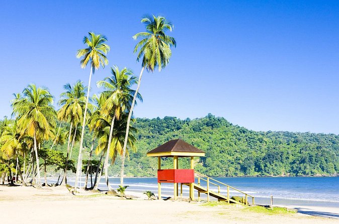 Trinidad Highlights and Scenic Drive Tour - Maracas Bay, bake and shark, and the time limit