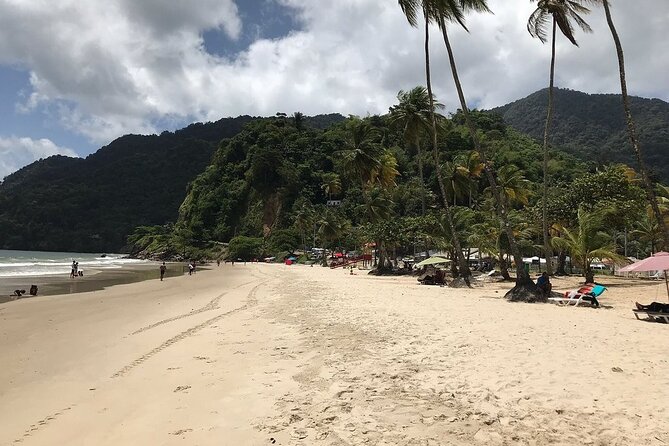Trinidad Highlights and Scenic Drive Tour - A quiet pause in the Botanical Gardens