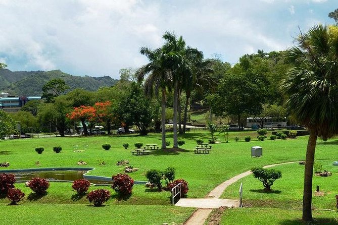 Trinidad Highlights Tour from Port of Spain - Fort George’s 236-Foot View