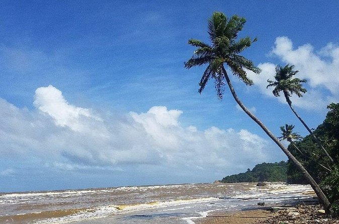 Trinidad Island Circle Tour with Pickup - Mayaro Beach and the long eastern shore