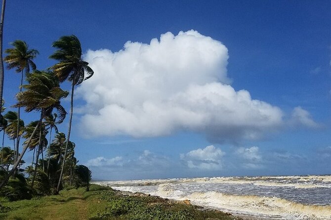 Trinidad Island Circle Tour with Pickup - The main weakness: seven hours can feel like a road trip