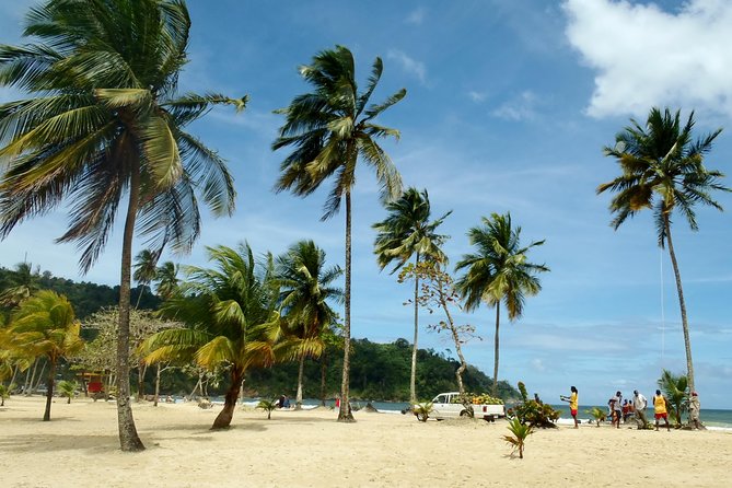 Trinidad Northern Eco-Cultural Full-Day Highlights Tour from Port of Spain - Why the guides matter on a mixed itinerary