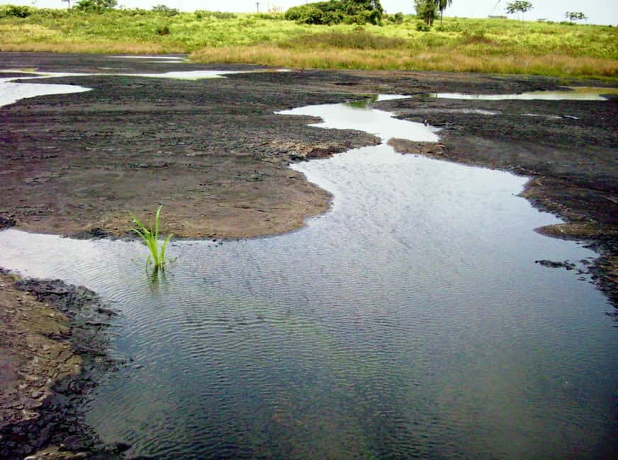 Trinidad: Pitch Lake and Chaguanas Sightseeing Tour - Why this eight-hour Trinidad tour feels different