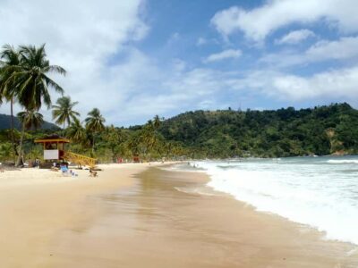 Rainforest Hike to Avocat Waterfall