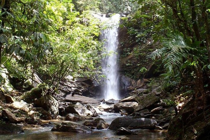 Trinidad Rainforest Hike to Waterfall - Key things to know before you go