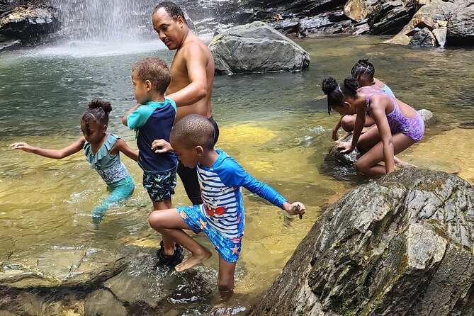 Trinidad Rainforest Hike to Waterfall - What the $115 price covers