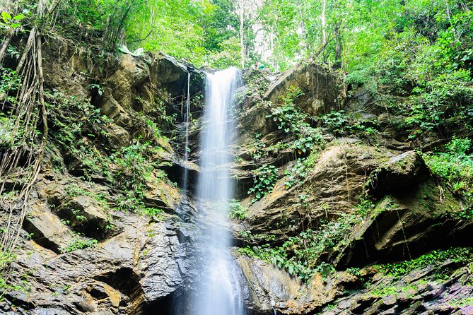 Trinidad Rainforest Hike to Waterfall - The guides make a real difference
