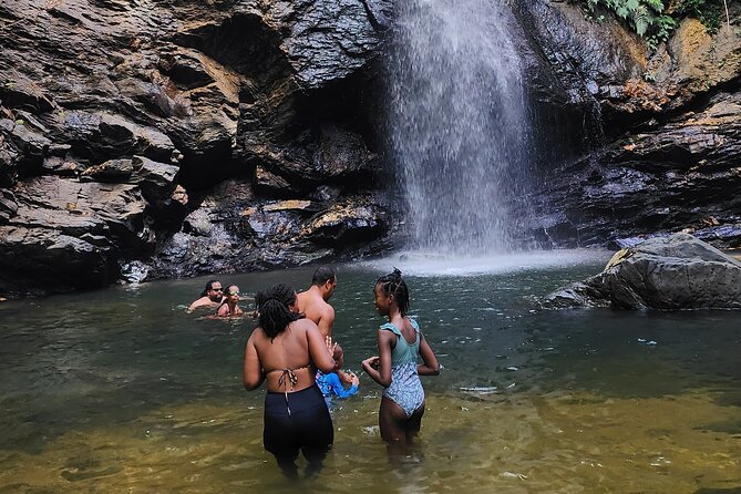 Trinidad Rainforest Hike to Waterfall - Who should book this rainforest day