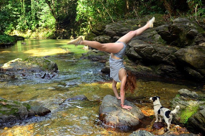 Trinidad Rainforest Hike to Waterfall - Walking to Avocat Waterfall