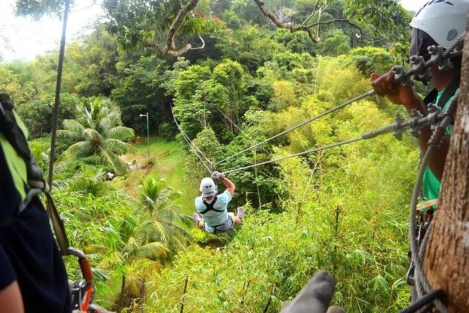 Trinidad Zipline Adventure - Key points about the Trinidad Zipline Adventure