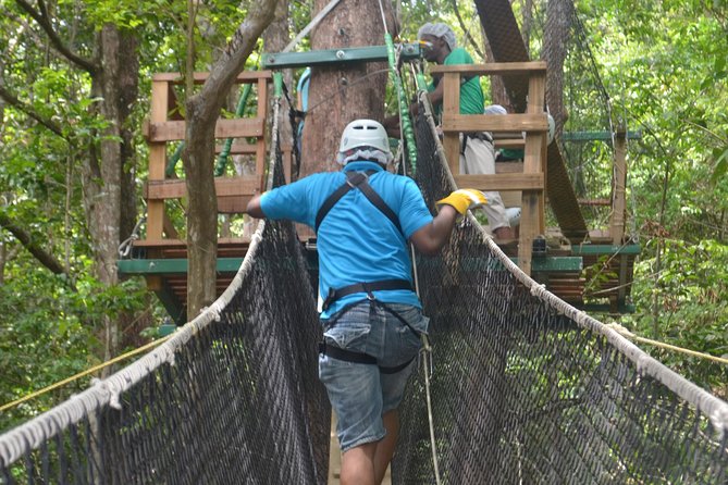 Trinidad Zipline Adventure - Seven or eight lines through the treetops