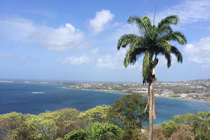 VIP Inclusive Private Tour of Island (Lunch, Drinks + Snorkeling) - Key points to know before booking