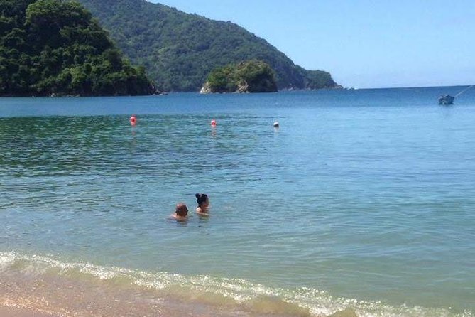 VIP Inclusive Private Tour of Island (Lunch, Drinks + Snorkeling) - Why this private Tobago day works so well