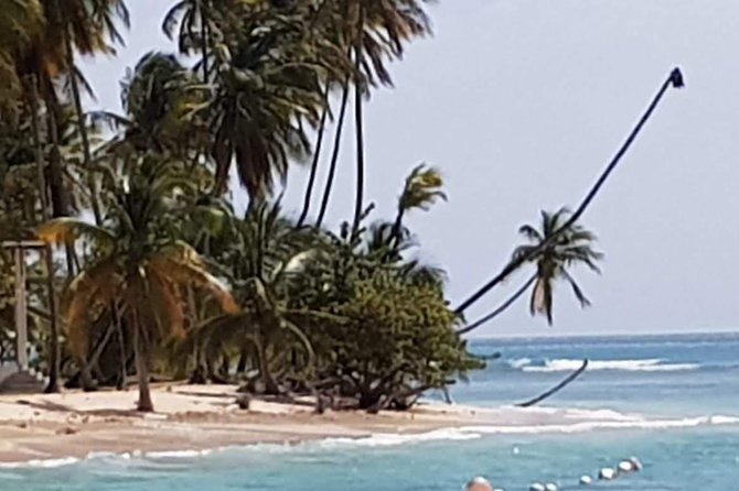 VIP Inclusive Private Tour of Island (Lunch, Drinks + Snorkeling) - Speyside’s view toward Goat Island and Paradise Island